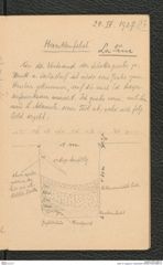Seite 19, Tagebuch "Hankenfeld" (NHMW-PRAE-BBB-33)